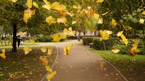 Фото к Подведение итогов фотоконкурса «Наш научный Петербург»
