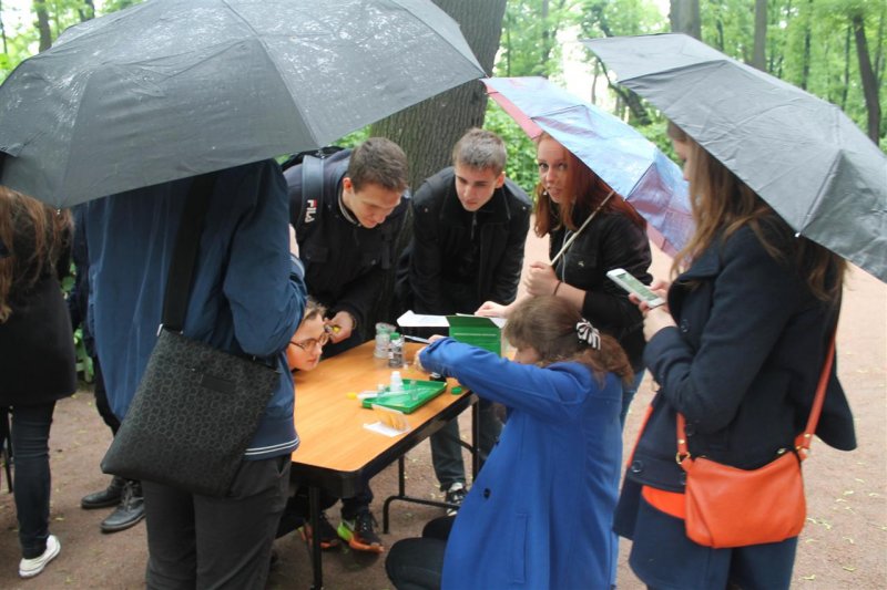 Фото к Детский экологический праздник «И в Летний сад гулять водил»