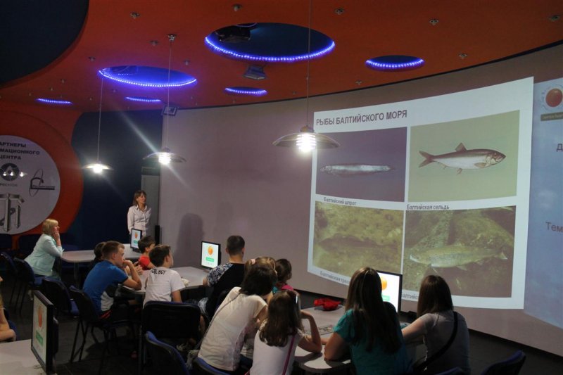 Фото к Открытие выставки детского рисунка и плаката «Мы за чистоту Финского залива»  — старт проекта Дни экологии в информационном центре по атомной энергии в Санкт-Петербурге