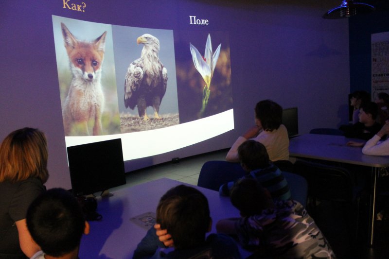 Фото к Фотографии удивительные и вдохновляющие. В Санкт-Петербургском информационном центре по атомной энергии была представлена выставка венгерского фотографа Вице Балинта.