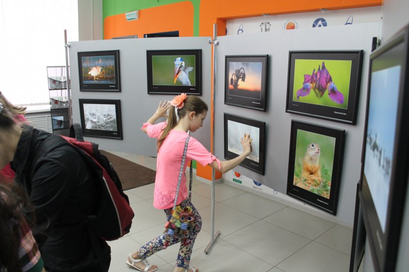 Фото к Фотографии удивительные и вдохновляющие. В Санкт-Петербургском информационном центре по атомной энергии была представлена выставка венгерского фотографа Вице Балинта.