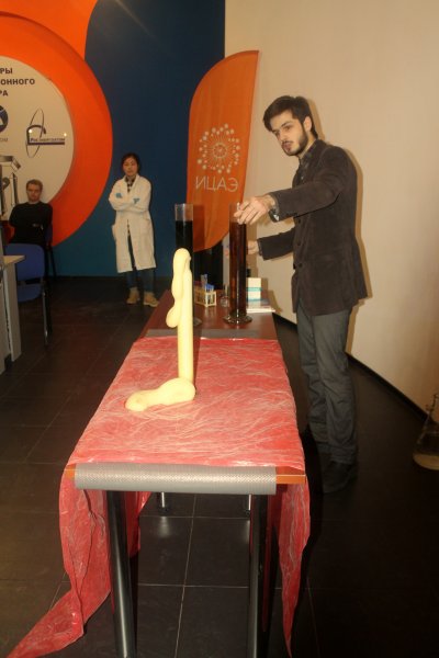 Фото к Накануне любимого всеми праздника более 300 детей и их родителей посетили «Научные ёлки» в Информационном центре