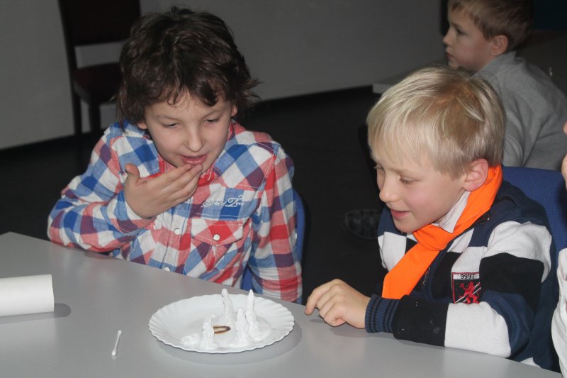 Фото к Накануне любимого всеми праздника более 300 детей и их родителей посетили «Научные ёлки» в Информационном центре