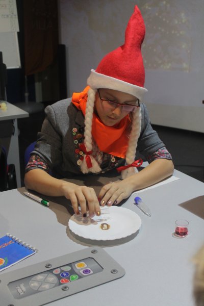 Фото к Накануне любимого всеми праздника более 300 детей и их родителей посетили «Научные ёлки» в Информационном центре