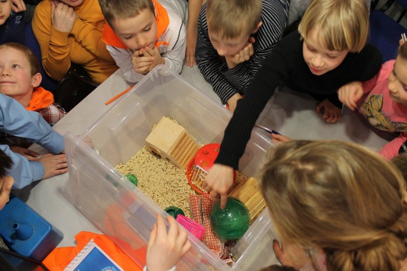 Фото к Студенты Академии Нескучных Наук захотели в космос