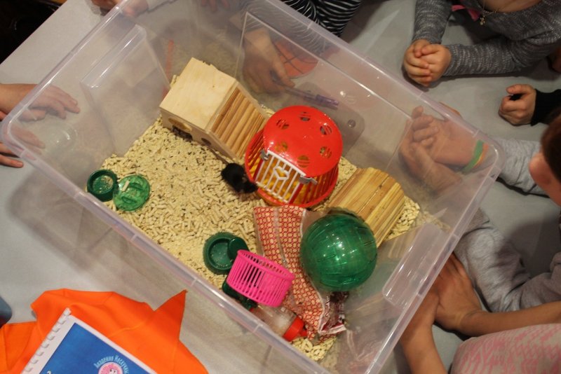 Фото к Студенты Академии Нескучных Наук захотели в космос