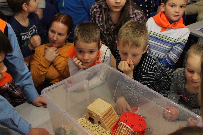 Фото к Студенты Академии Нескучных Наук захотели в космос