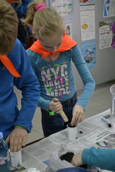 Фото к Фильтр для воды своими руками