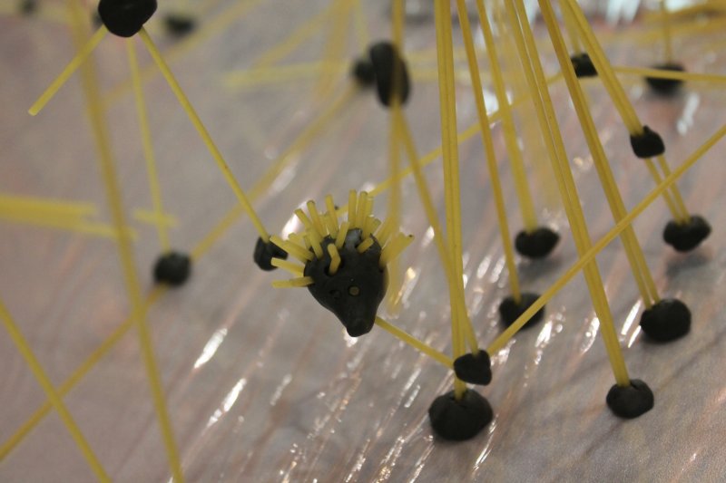 Фото к Быстрее, выше, устойчивее: в Петербурге прошло занятие по макаронному строительству