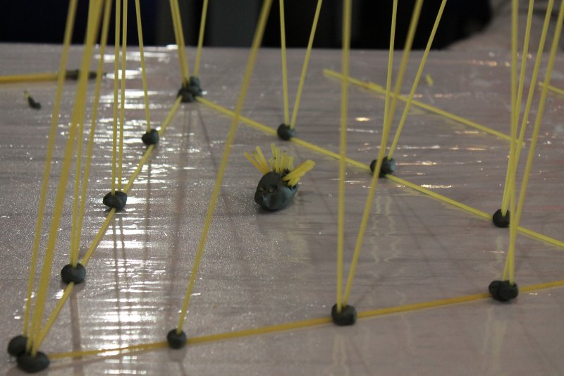 Фото к Быстрее, выше, устойчивее: в Петербурге прошло занятие по макаронному строительству