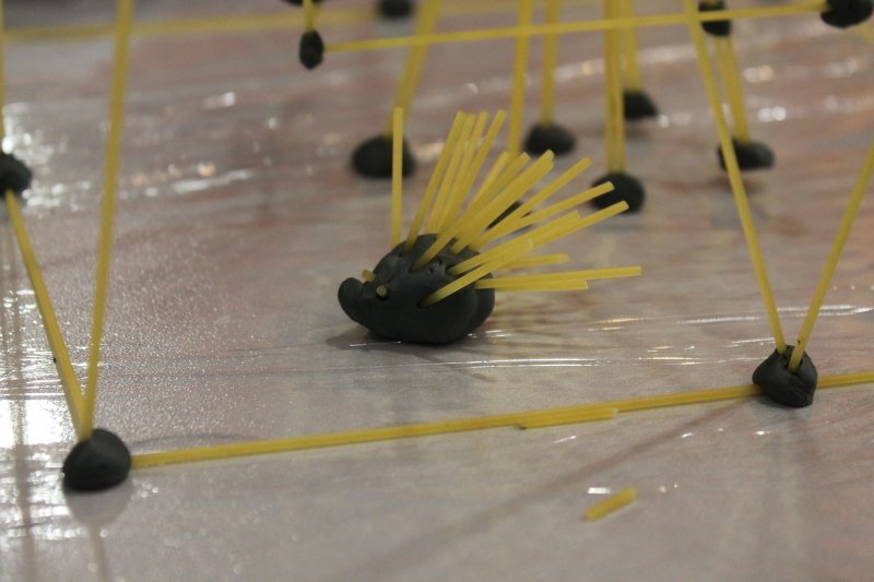 Фото к Быстрее, выше, устойчивее: в Петербурге прошло занятие по макаронному строительству