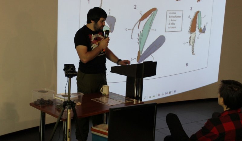 Фото к Занимательно об энтомологии: в ИЦАЭ СПб продолжается образовательный лекторий