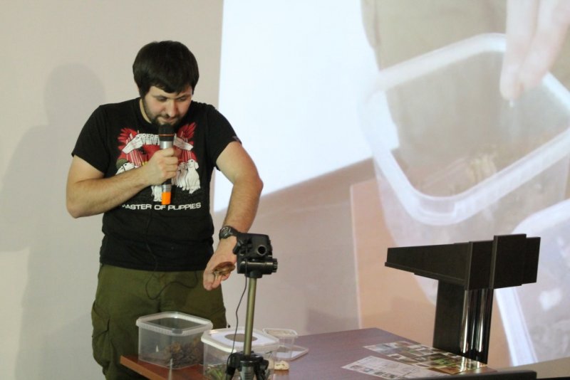 Фото к Занимательно об энтомологии: в ИЦАЭ СПб продолжается образовательный лекторий