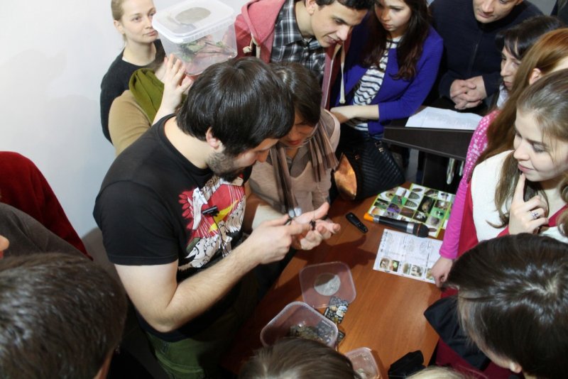 Фото к Занимательно об энтомологии: в ИЦАЭ СПб продолжается образовательный лекторий