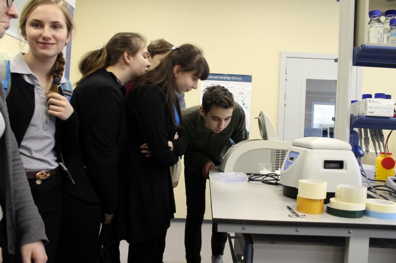 Фото к Больше, чем просто интерес: петербургские школьники посетили Молекулярную лабораторию СПбГТУ