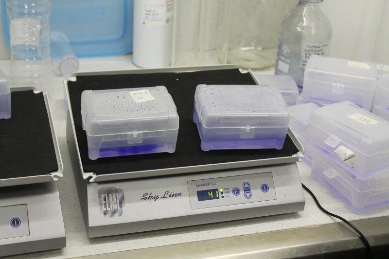 Фото к Больше, чем просто интерес: петербургские школьники посетили Молекулярную лабораторию СПбГТУ