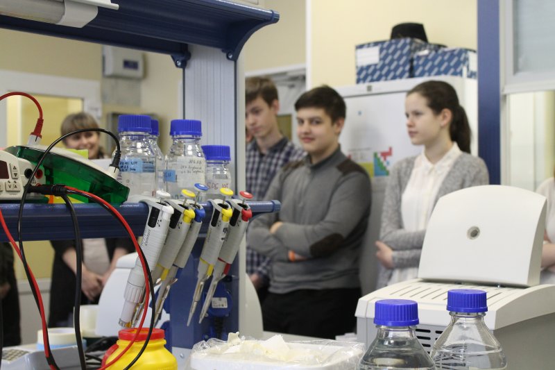 Фото к Больше, чем просто интерес: петербургские школьники посетили Молекулярную лабораторию СПбГТУ